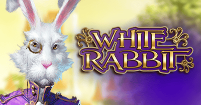 White Rabbit at KingsBet